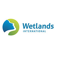 wetlands